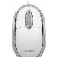 Гарнизон GM-100W