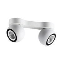 Odeon Light 3536/2CL