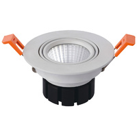 Kink Light 2124
